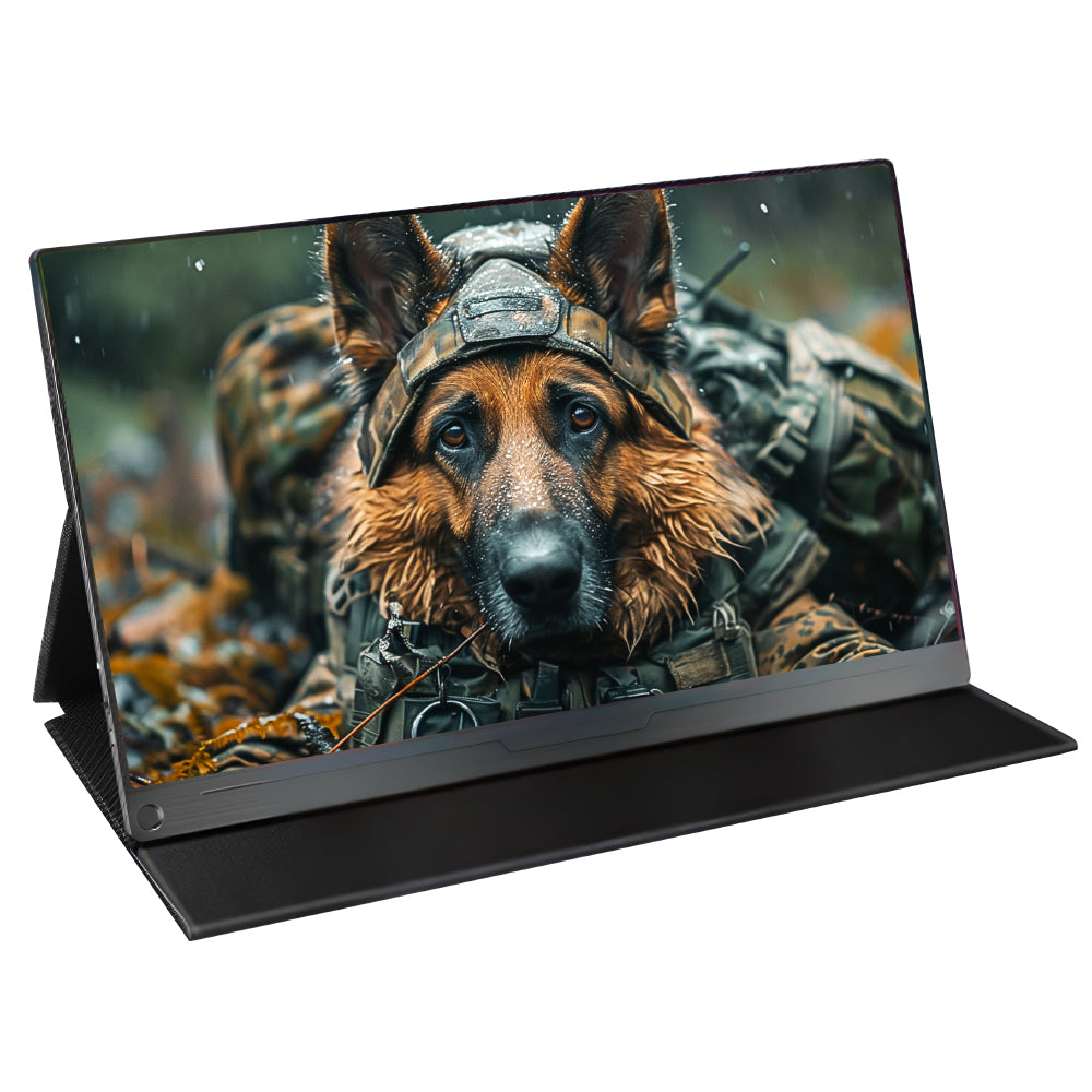 Portable Monitor 15.6inch 1080P USB C HDMI Faster Response Time Display w/Cover