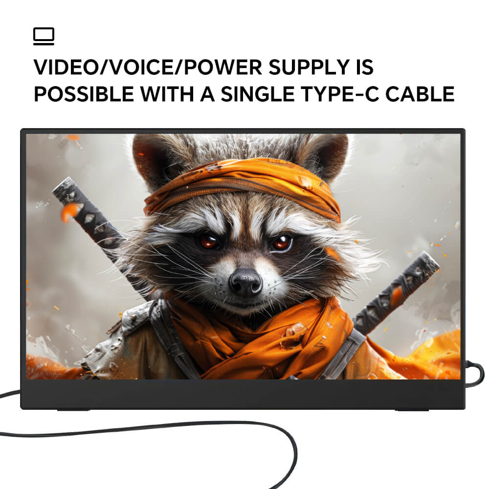 Portable Monitor 15.6inch 1080P USB C HDMI IPS Gaming Monitor Display Thin